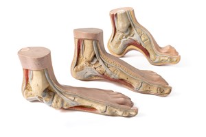 Image description is not available for 2011.6.3